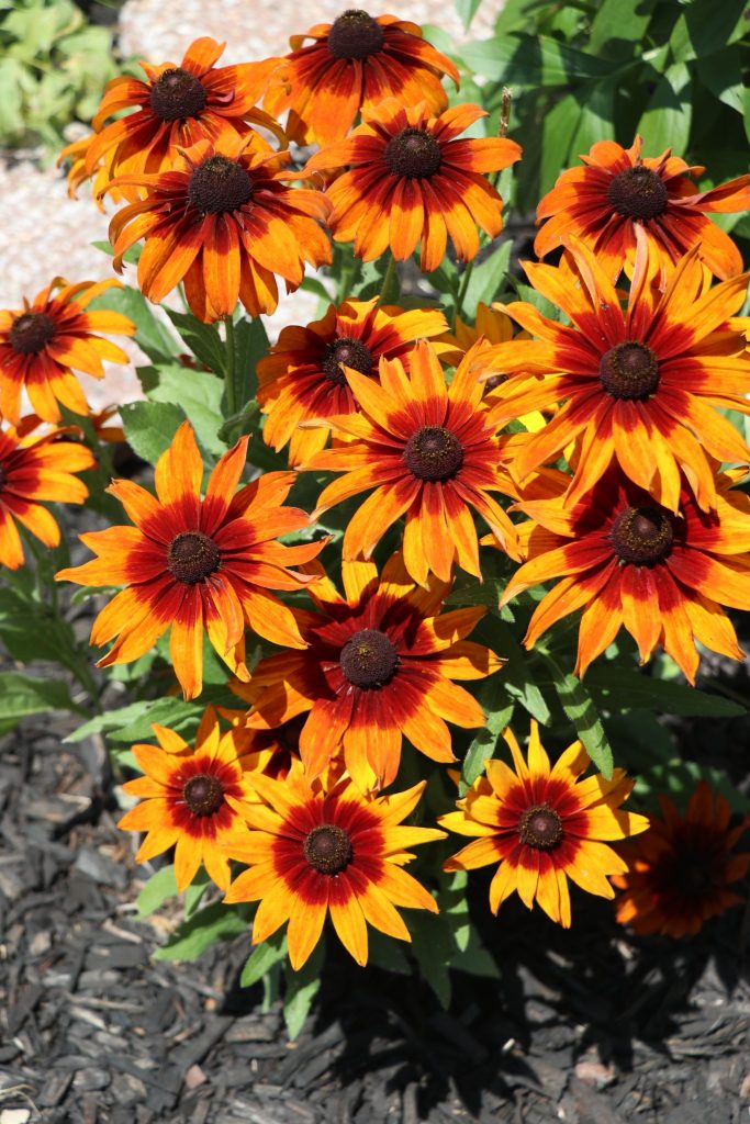 The Brick Garden Club's 2022 Garden Tour. (Photo: Township of Brick)