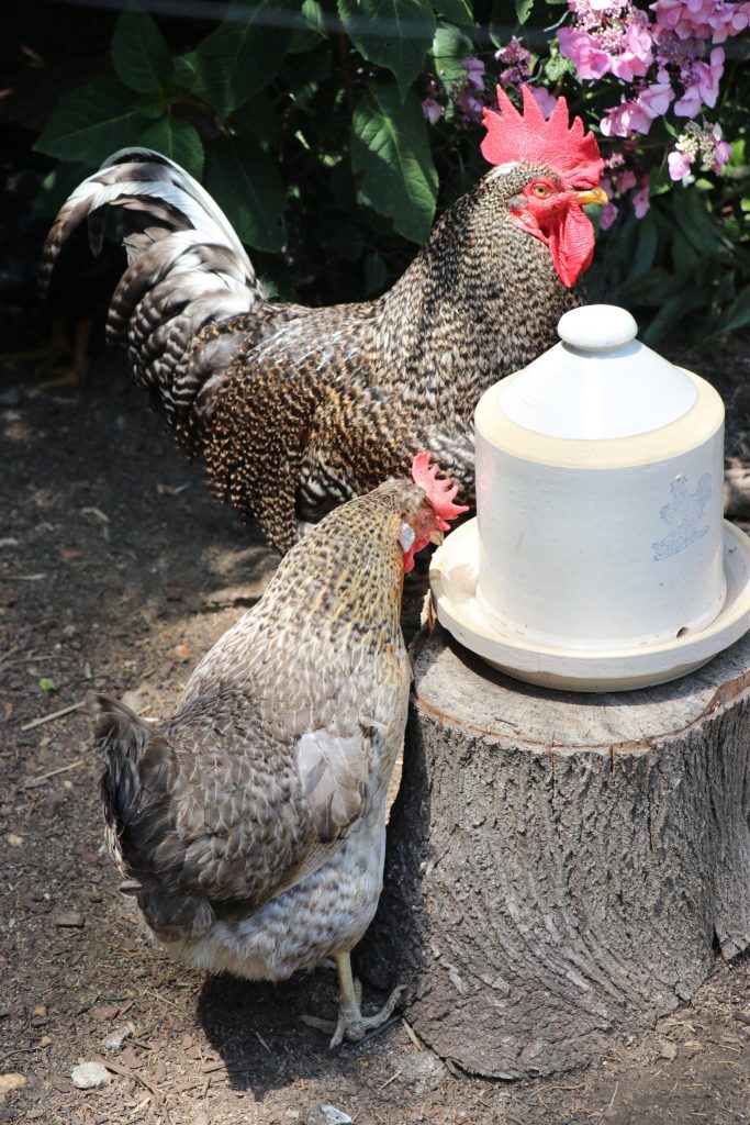 The Brick Garden Club's 2022 Garden Tour. (Photo: Township of Brick)