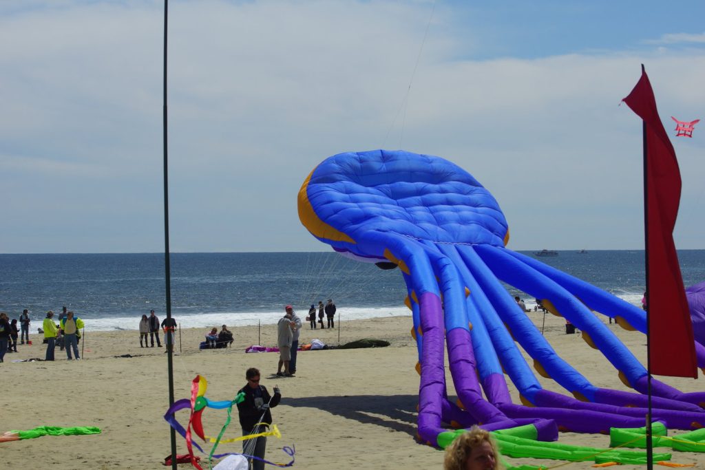 A kite festival presented by Sky Festival Productions. (Credit: Sky Festival Productions)
