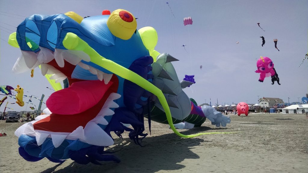 A kite festival presented by Sky Festival Productions. (Credit: Sky Festival Productions)