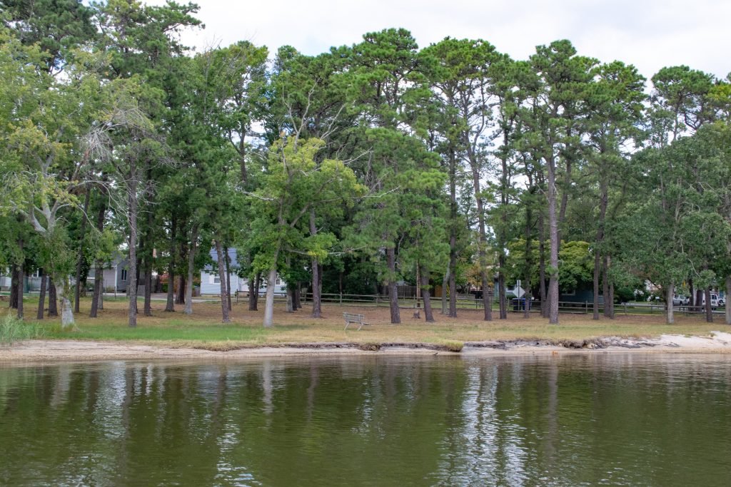 Cedar Bridge Manor Park, Sept. 2022, from the Metedeconk River. (Photo: Daniel Nee)