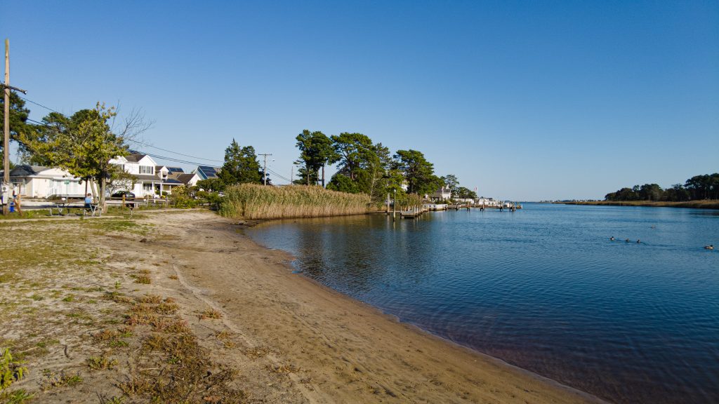 Mallard Point Park, Brick, N.J., Oct. 2022. (Photo: Daniel Nee)