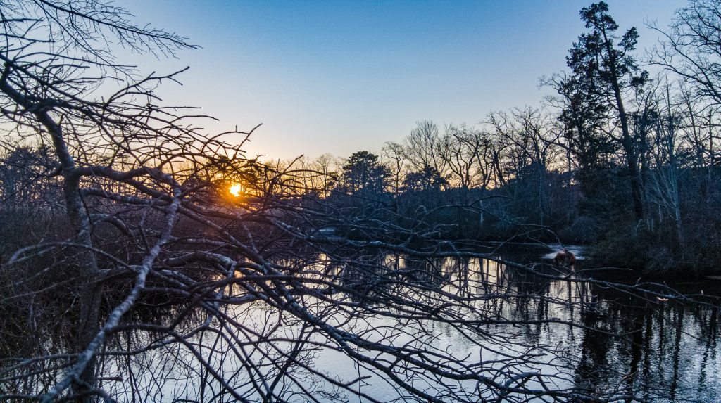 Forge Pond, Brick, N.J., Dec. 27, 2022. (Photo: Daniel Nee)