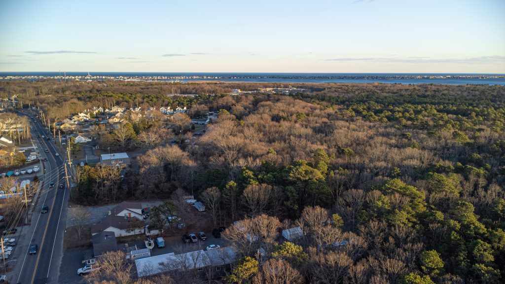 Salt marshes in Brick Township's portion of the Edwin B. Forsythe National Wildlife Refuge, Jan. 2023. (Photo: Daniel Nee)