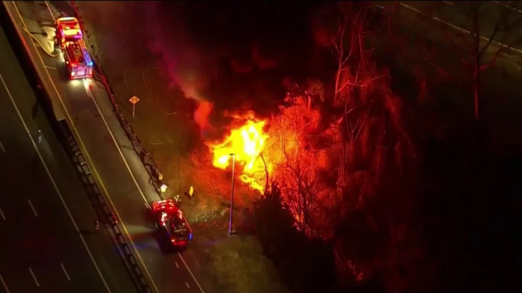 A fire on the side of the Garden State Parkway, Jan. 19, 2022. (Credit: NBC10, Philadelphia)