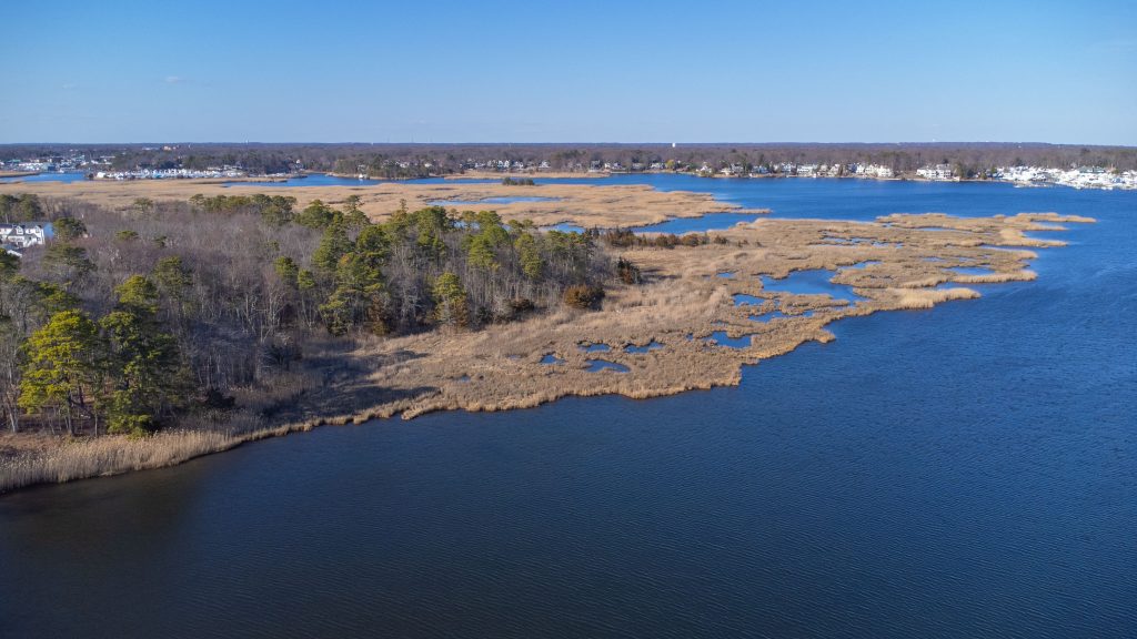 Brick is planning to acquire about 3-acres of marshland as a donation. (Photo: Shorebeat LLC)