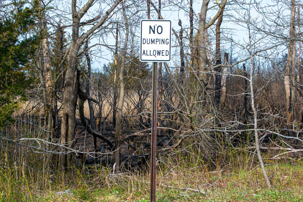 Marshland singed by a brush fire, April 11, 2023, in Brick Township, N.J. (Photo: Shorebeat)