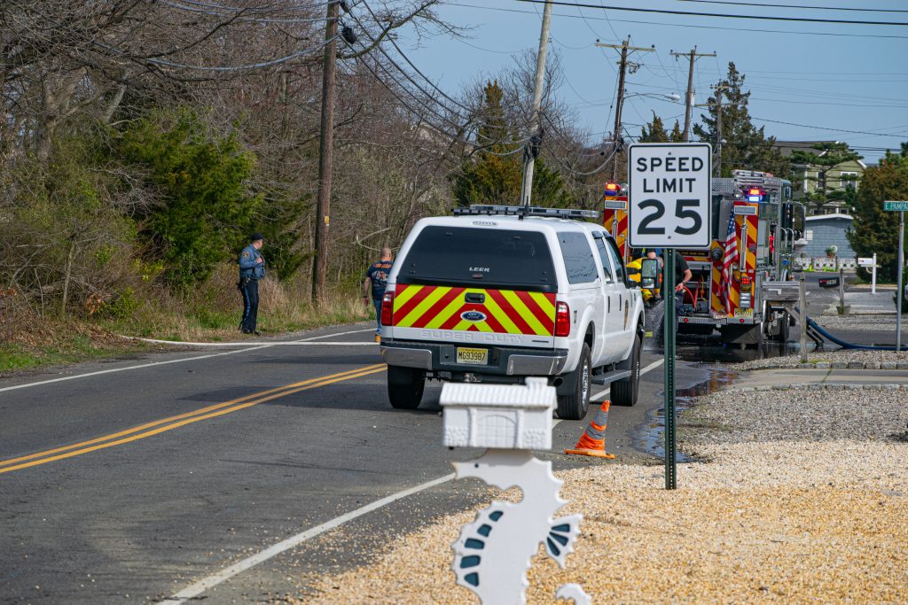 Marshland singed by a brush fire, April 11, 2023, in Brick Township, N.J. (Photo: Shorebeat)