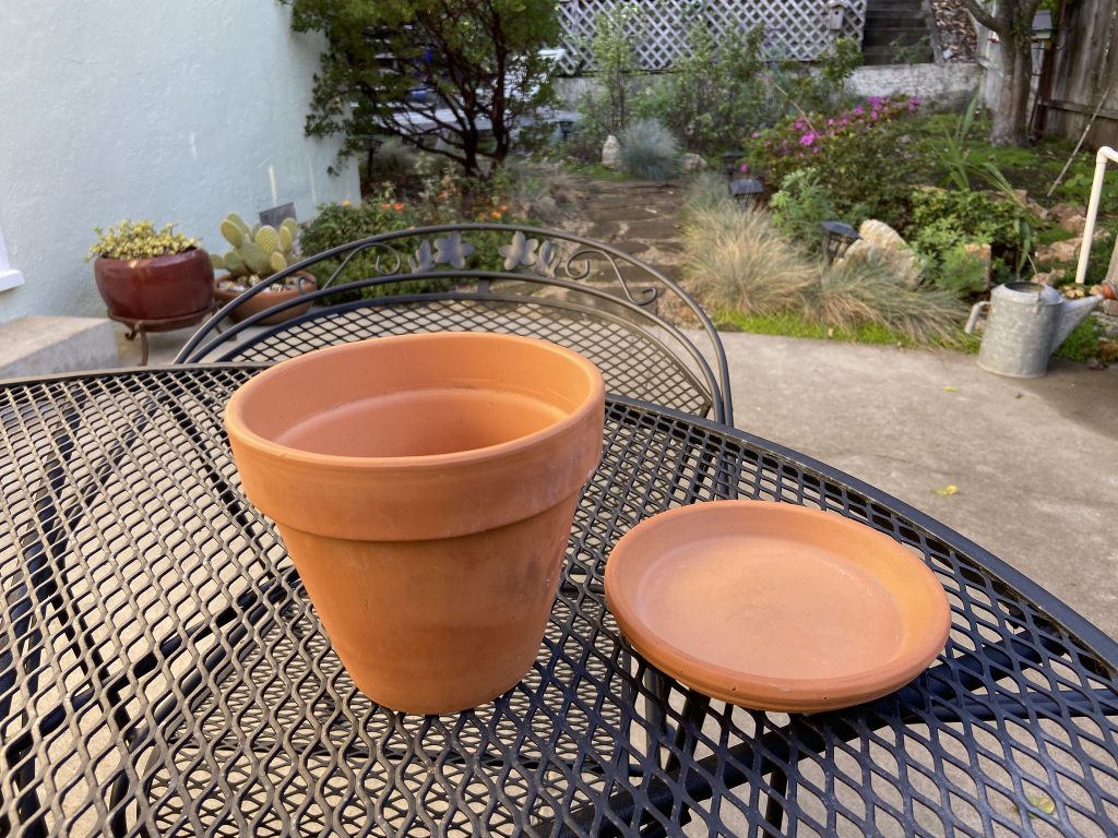 A modern 'olla' irrigation container. (Credit: btwashburn/ Flickr/ Creative Commons)