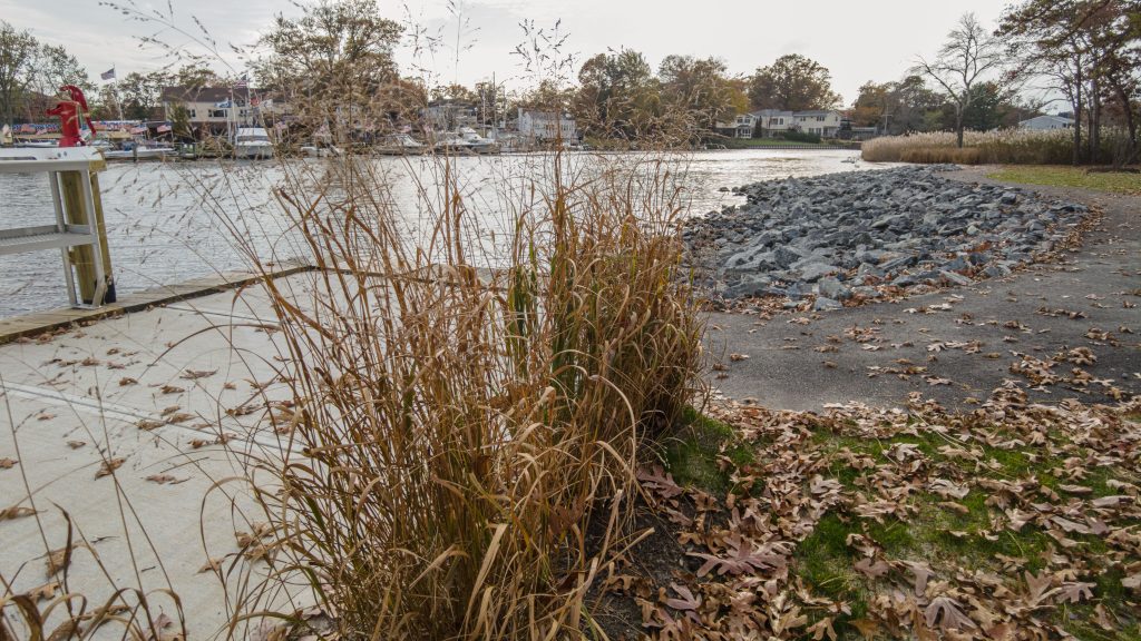 Cedar Bridge Manor Park, Oct. 2023. (Photo: Shorebeat)