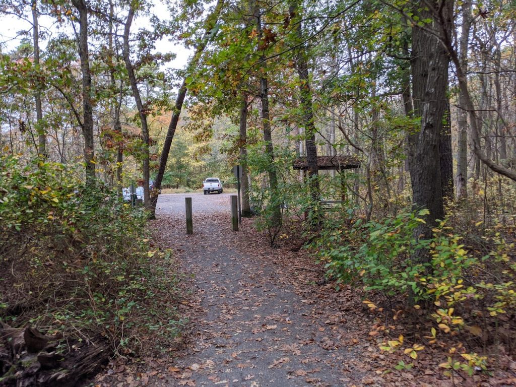 The Sawmill Trail in Brick Township. (Credit: Maria Hidalgo Dolan/Google Earth)