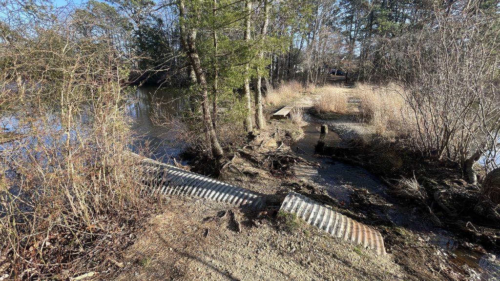 Godfrey Lake, in the Herbertsville section of Brick Township, March 2024. (Photo: Shorebeat)