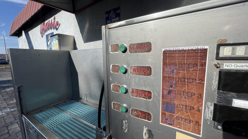A 'dog wash' at the Classic Car Wash in Largo, Fla. (Photo: Shorebeat)
