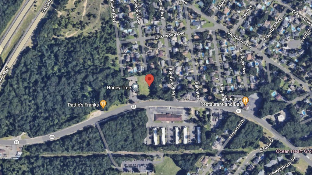 The location of a proposed office at 1454 Route 88. (Credit: Google Maps)