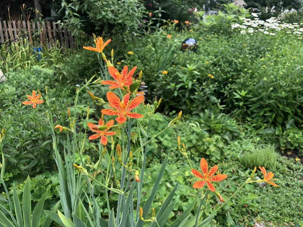 A garden that is part of the 2025 Brick Garden Club Tour. (Photo: Brick Garden Club)